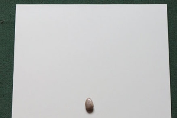 WEY展厅