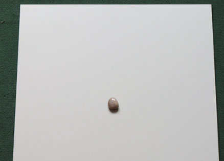wei展厅.jpg